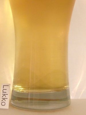 Крынiца - 1 Люкс