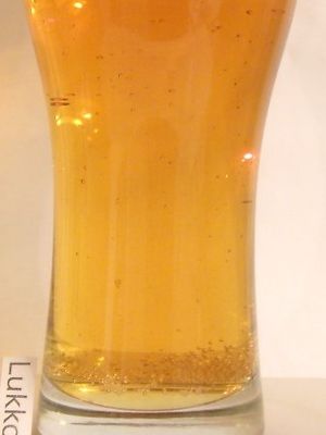 Gambrinus premium