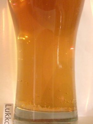 Budweis Bohemia Premium světlý ležák