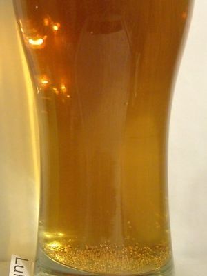 Оболонь Lager