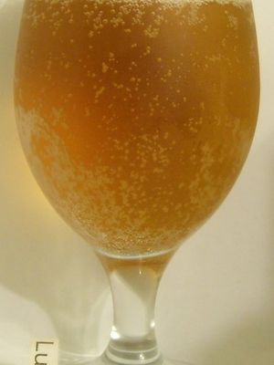 Harp Lager
