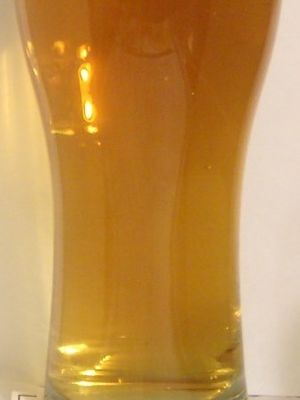 Holba Premium