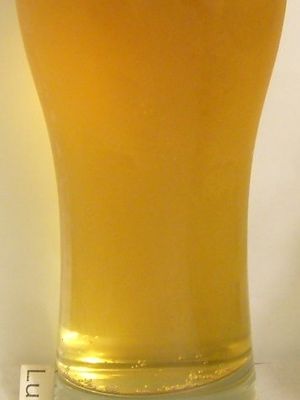 Darguner Pilsener