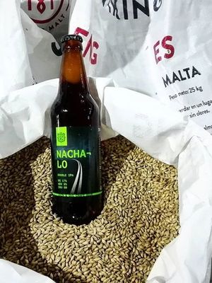 SVIN & GUS Nachalo (Double IPA)